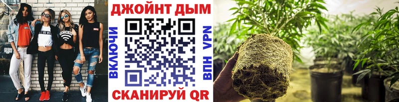 Купить Cocaine  Меф  СОЛЬ  АМФ  ГАШ  Кадников