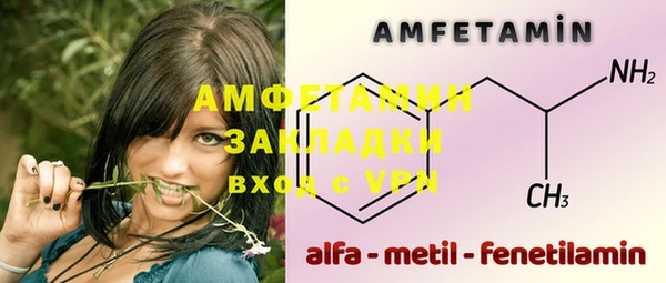 шишки Мегион