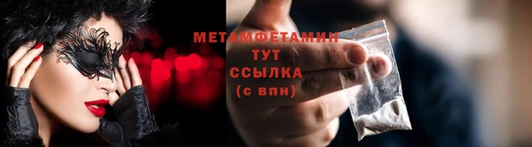шишки Мегион