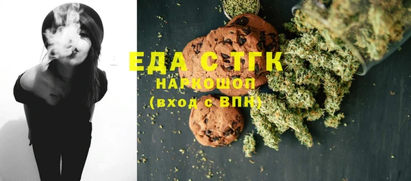 шишки Мегион