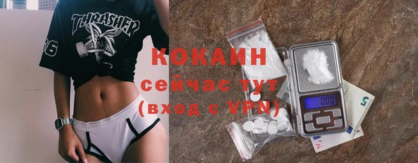 шишки Мегион