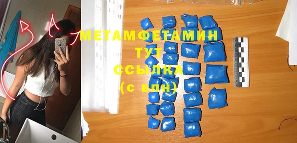 шишки Мегион
