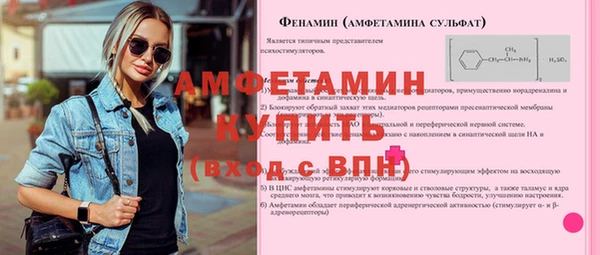 шишки Мегион